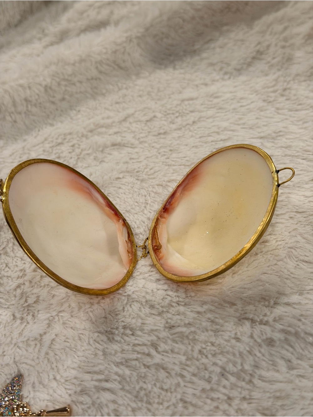 Vintage Pink and White Clam Sea Shell hinged Trinket Box Brass Victorian Style - Picture 3 of 6
